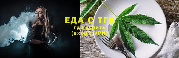 индика Аркадак