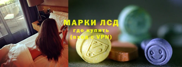 индика Аркадак