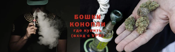 прущие грибы Балабаново