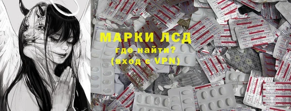 прущие грибы Балабаново