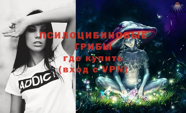 прущий лед Армянск