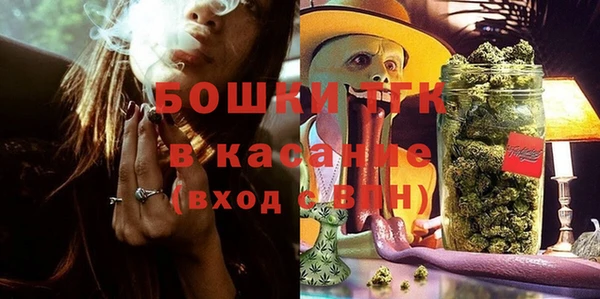 прущие грибы Балабаново