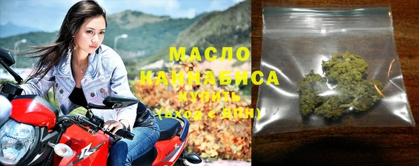 индика Аркадак