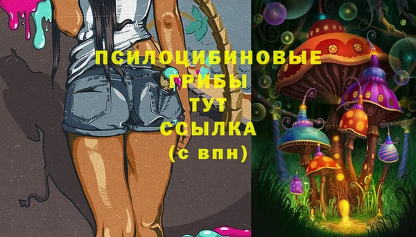 прущий лед Армянск