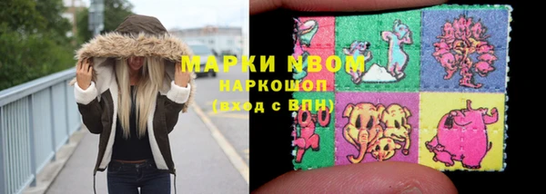 индика Аркадак